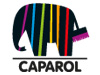 Caparol - Partner von Malerbetrieb Bäßgen Hennef